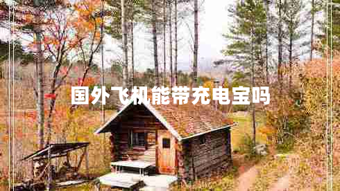 國(guó)外飛機(jī)能帶充電寶嗎
