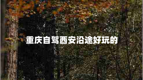 重慶自駕西安沿途好玩的 重慶自駕西安沿途好玩的
