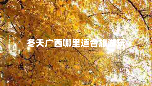 冬天廣西哪里適合旅游玩