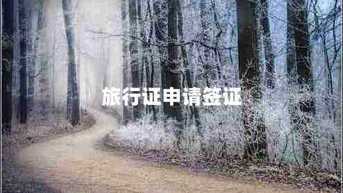旅行證申請(qǐng)簽證