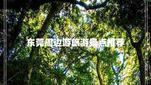 東莞周邊游旅游景點推薦 東莞周邊游旅游景點推薦