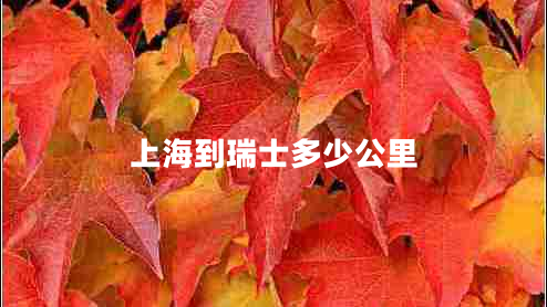 上海到瑞士多少公里 上海到瑞士多少公里