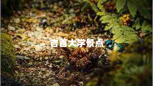 吉首大學(xué)景點(diǎn) 吉首大學(xué)景點(diǎn)