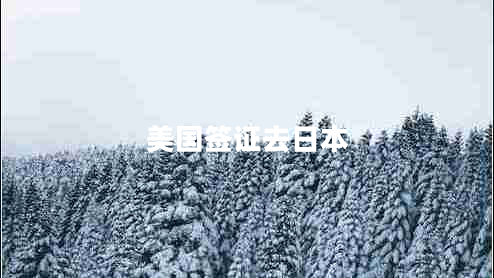 美國(guó)簽證去日本 美國(guó)簽證去日本