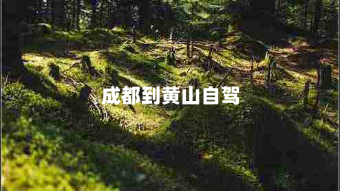 成都到黃山自駕