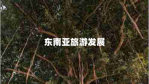 東南亞旅游發(fā)展 東南亞旅游發(fā)展