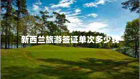 新西蘭旅游簽證單次多少錢 新西蘭旅游簽證單次多少錢