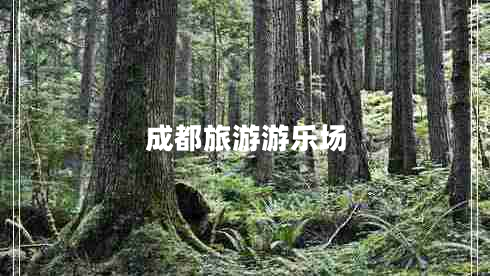 成都旅游游樂場 成都旅游游樂場