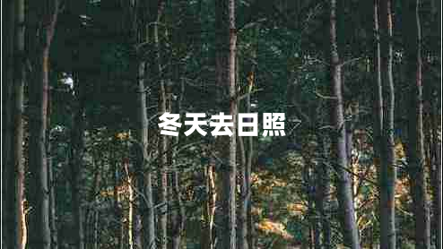 冬天去日照 冬天去日照