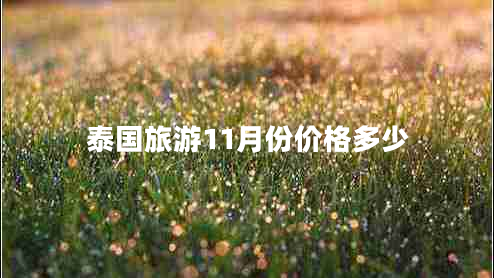 泰國(guó)旅游11月份價(jià)格多少