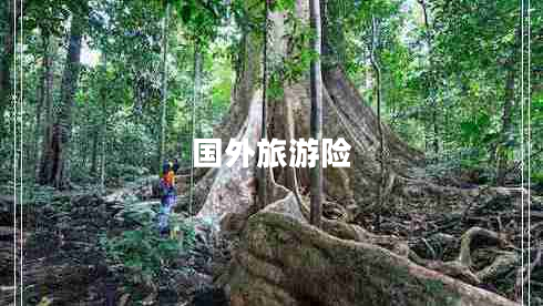 國外旅游險 國外旅游險