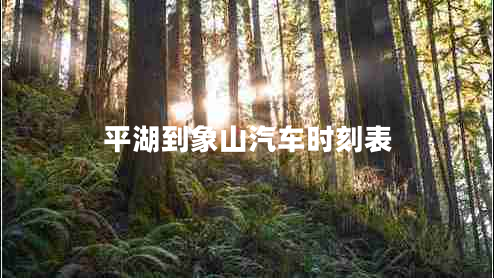 平湖到象山汽車(chē)時(shí)刻表 平湖到象山汽車(chē)時(shí)刻表