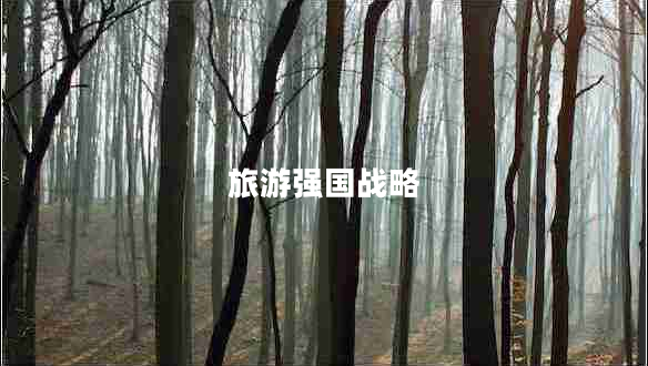 旅游強國戰(zhàn)略 旅游強國戰(zhàn)略