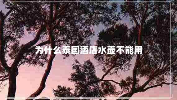 為什么泰國酒店水壺不能用 為什么泰國酒店水壺不能用