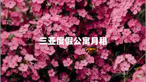 三亞度假公寓月租