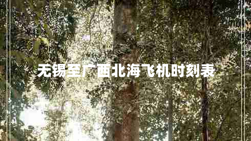 無錫至廣西北海飛機時刻表