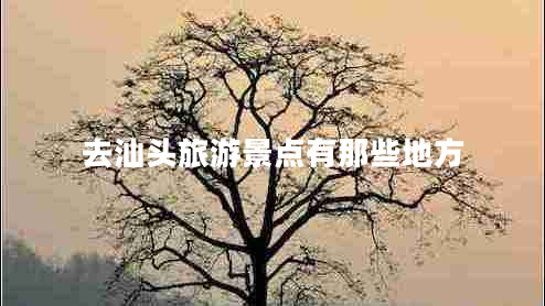 去汕頭旅游景點(diǎn)有那些地方 去汕頭旅游景點(diǎn)有那些地方