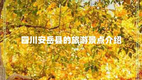 四川安岳縣的旅游景點(diǎn)介紹 四川安岳縣的旅游景點(diǎn)介紹