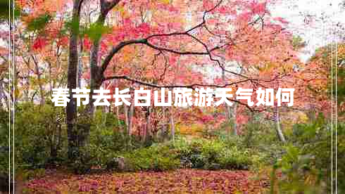春節(jié)去長(zhǎng)白山旅游天氣如何 春節(jié)去長(zhǎng)白山旅游天氣如何