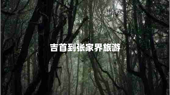 吉首到張家界旅游