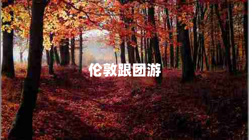 倫敦跟團(tuán)游 倫敦跟團(tuán)游