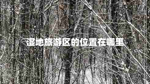 濕地旅游區(qū)的位置在哪里 濕地旅游區(qū)的位置在哪里