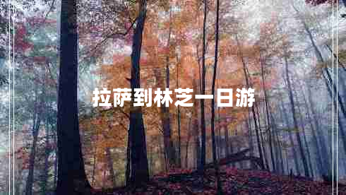 拉薩到林芝一日游