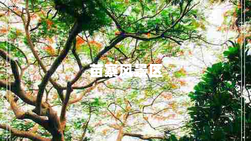 苗寨風(fēng)景區(qū) 苗寨風(fēng)景區(qū)