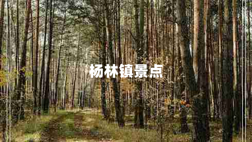 楊林鎮(zhèn)景點(diǎn) 楊林鎮(zhèn)景點(diǎn)