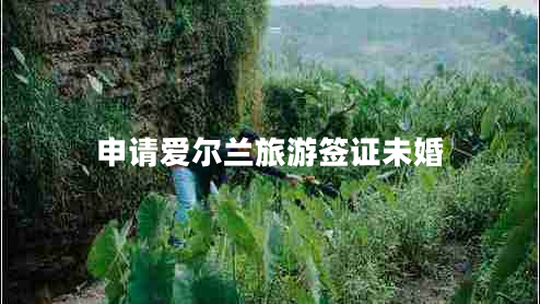 申請(qǐng)愛爾蘭旅游簽證未婚 申請(qǐng)愛爾蘭旅游簽證未婚