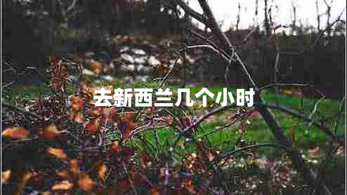 去新西蘭幾個小時 去新西蘭幾個小時