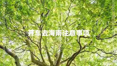 開車去海南注意事項 開車去海南注意事項