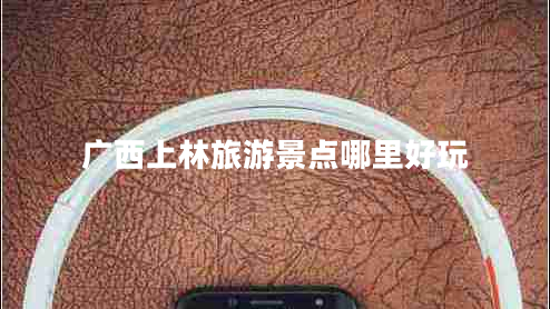 廣西上林旅游景點哪里好玩 廣西上林旅游景點哪里好玩