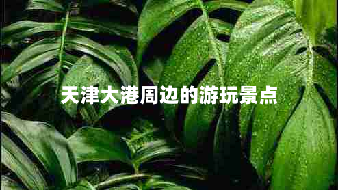 天津大港周邊的游玩景點