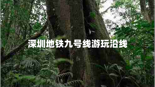 深圳地鐵九號線游玩沿線 深圳地鐵九號線游玩沿線