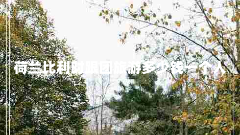 荷蘭比利時跟團旅游多少錢一個人 荷蘭比利時跟團旅游多少錢一個人