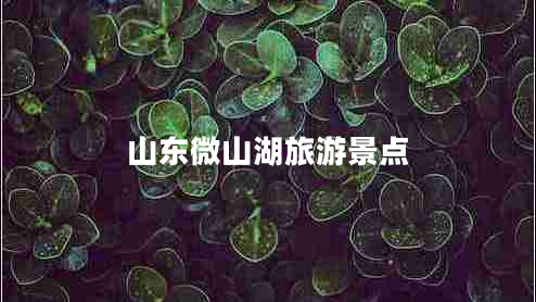 山東微山湖旅游景點(diǎn)