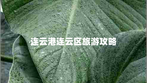 連云港連云區(qū)旅游攻略