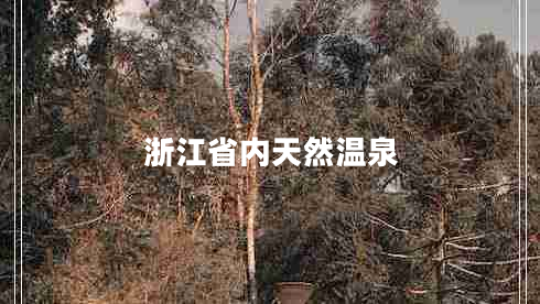 浙江省內(nèi)天然溫泉