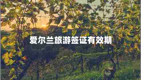 愛(ài)爾蘭旅游簽證有效期