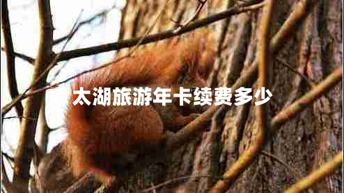 太湖旅游年卡續(xù)費多少 太湖旅游年卡續(xù)費多少