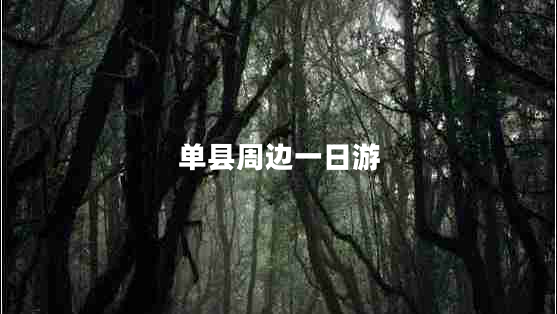 單縣周邊一日游 單縣周邊一日游