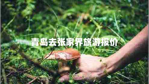 青島去張家界旅游報價 青島去張家界旅游報價
