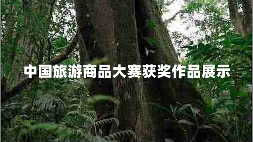 中國旅游商品大賽獲獎(jiǎng)作品展示 中國旅游商品大賽獲獎(jiǎng)作品展示