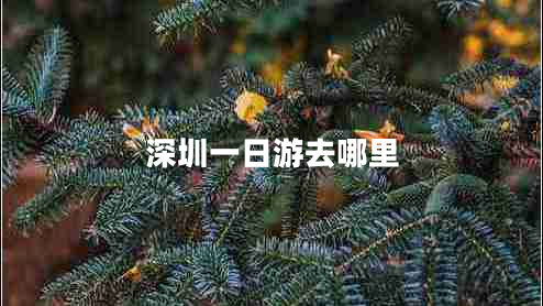 深圳一日游去哪里 深圳一日游去哪里