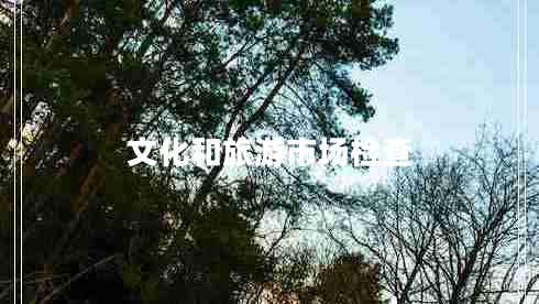 文化和旅游市場檢查