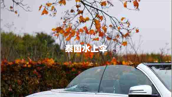 泰國水上傘 泰國水上傘