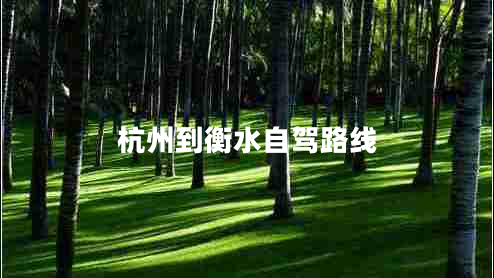 杭州到衡水自駕路線