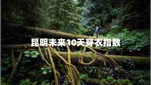 昆明未來10天穿衣指數(shù) 昆明未來10天穿衣指數(shù)