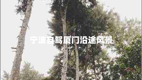 寧波自駕廈門沿途風(fēng)景 寧波自駕廈門沿途風(fēng)景